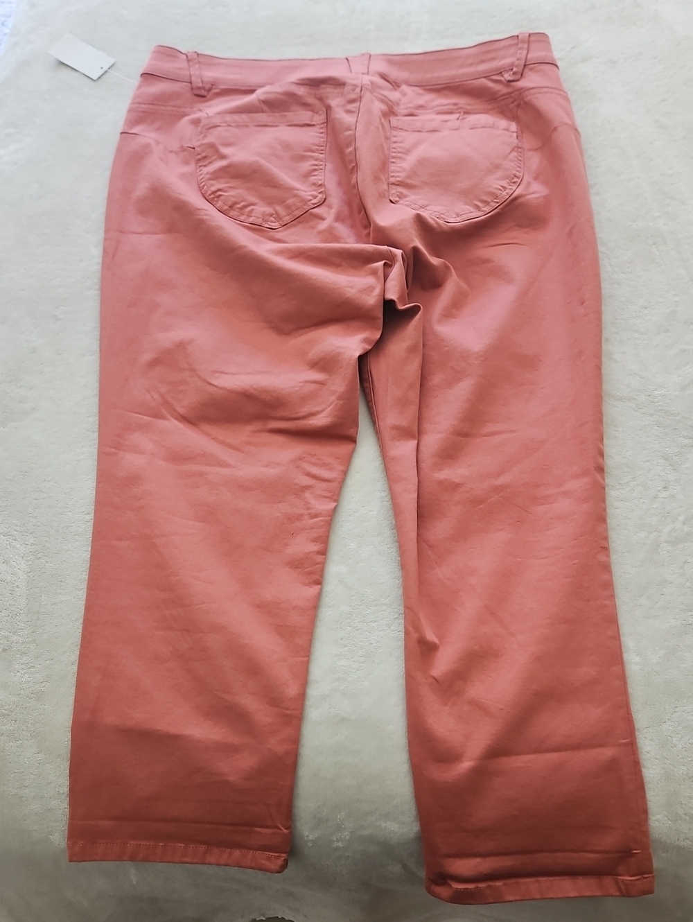 Democracy Ab-solution Ankle Skimmer Comfort Waist Pant: Mineral Rose: 20W - Picture 3 of 13